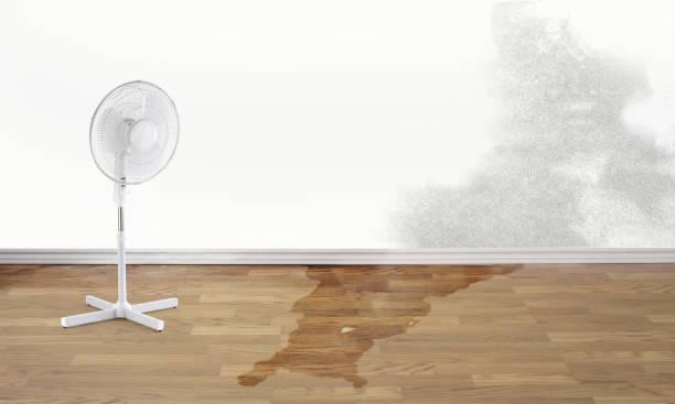 Best Residential water damage restoration  in Raymond, WA