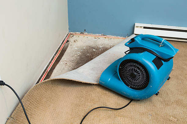 Local water damage restoration in WA